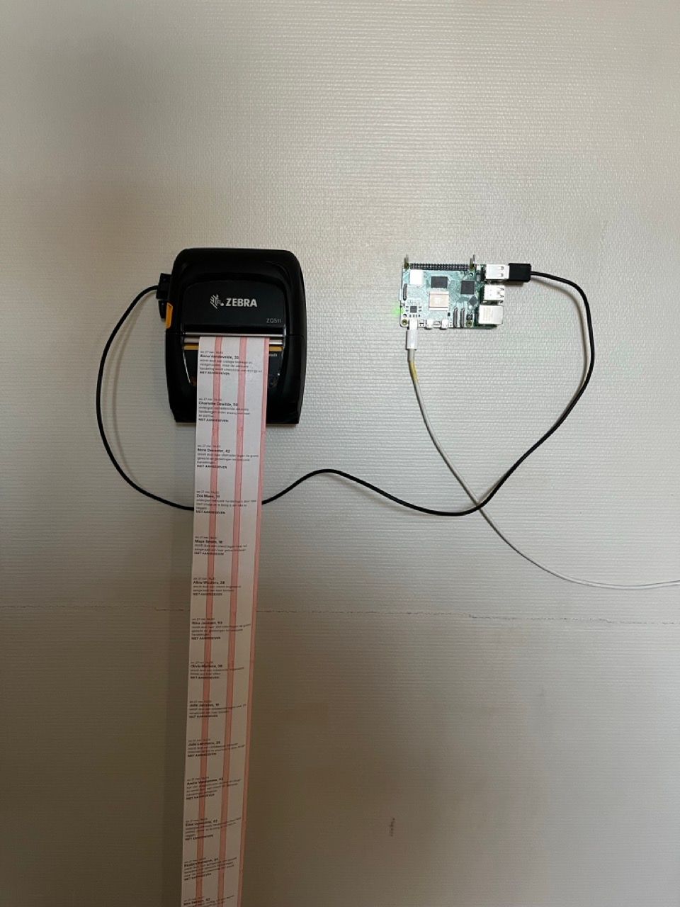 zebra + pi test setup