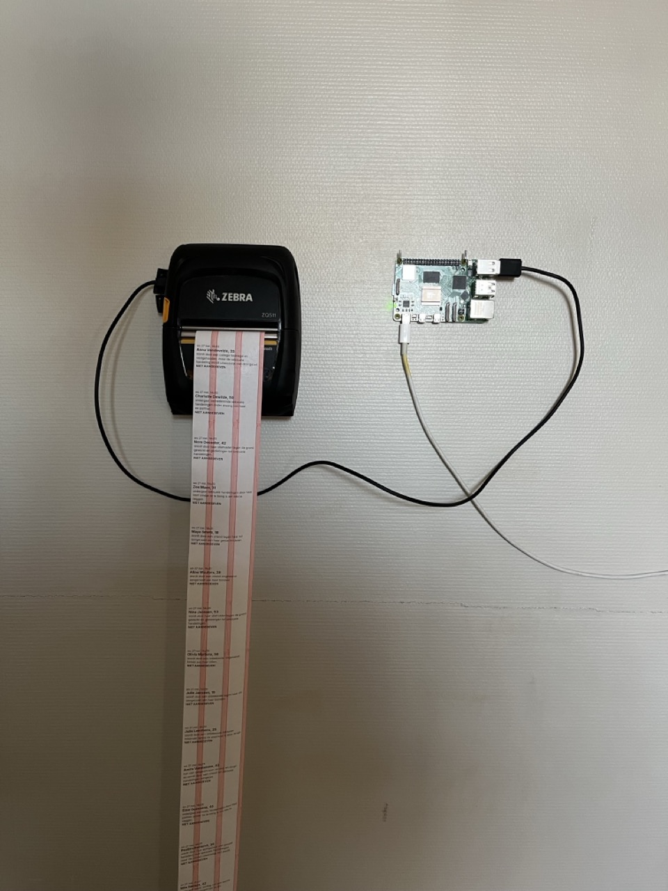 zebra + pi test setup