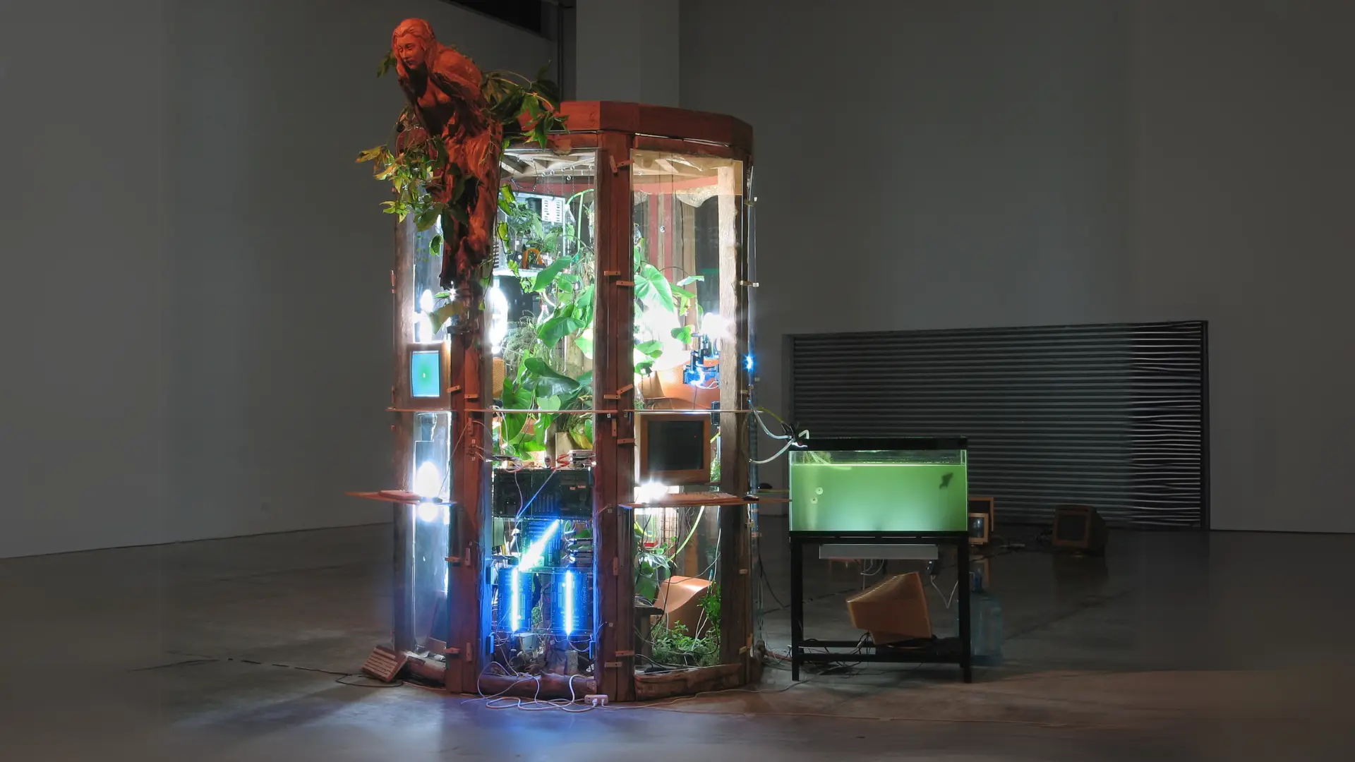 biomodd 2024